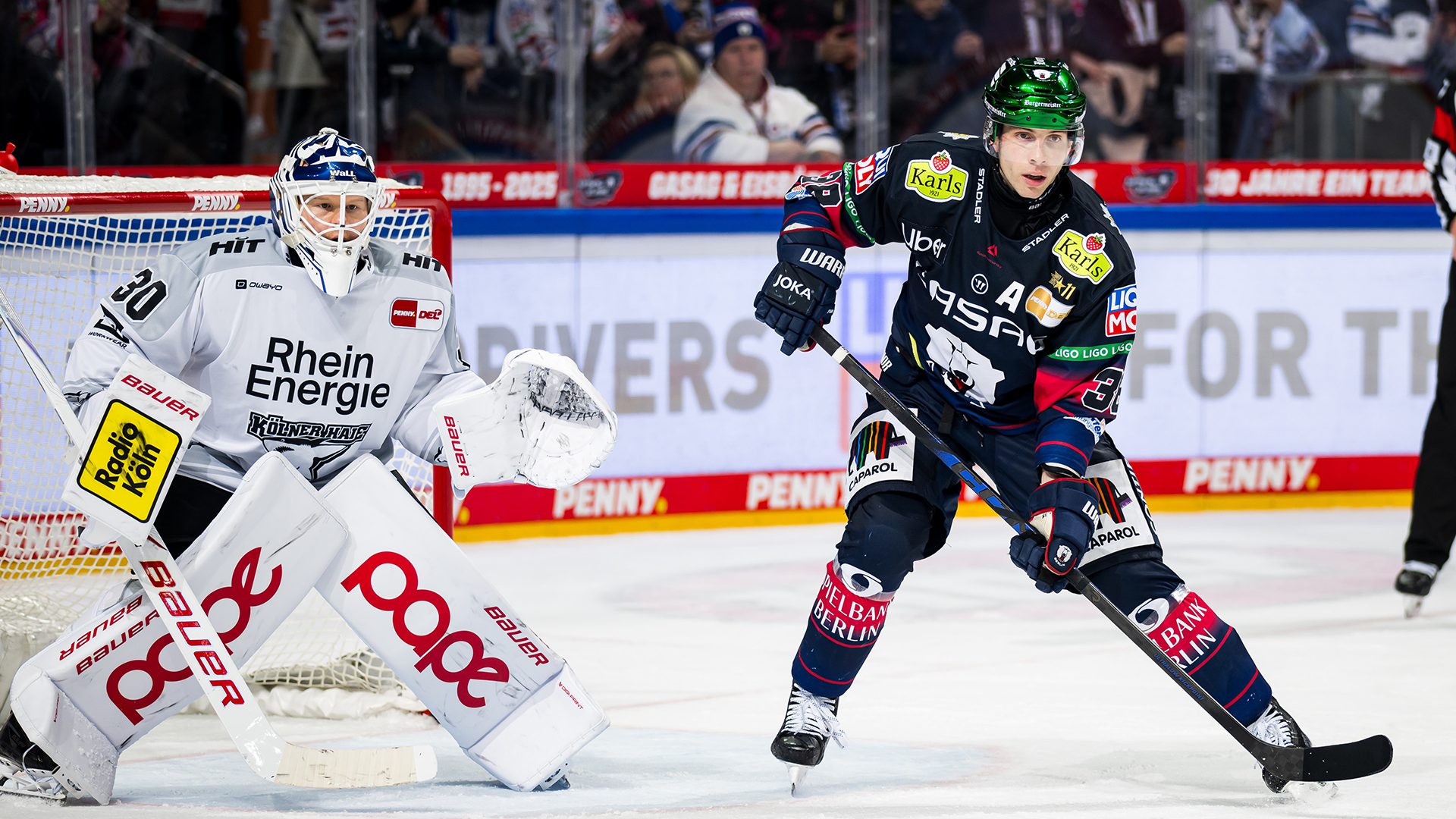 Eisbären Berlin gg. Kölner Haie